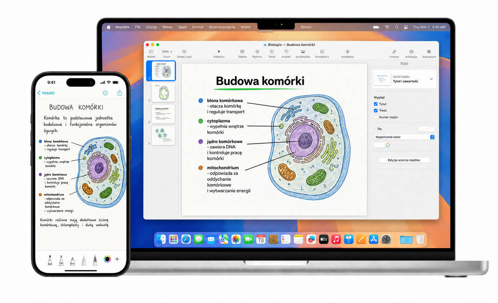 Pełnoekranowa notatka z biologii na iPhonie i ta sama notatka w prezentacji na Macu