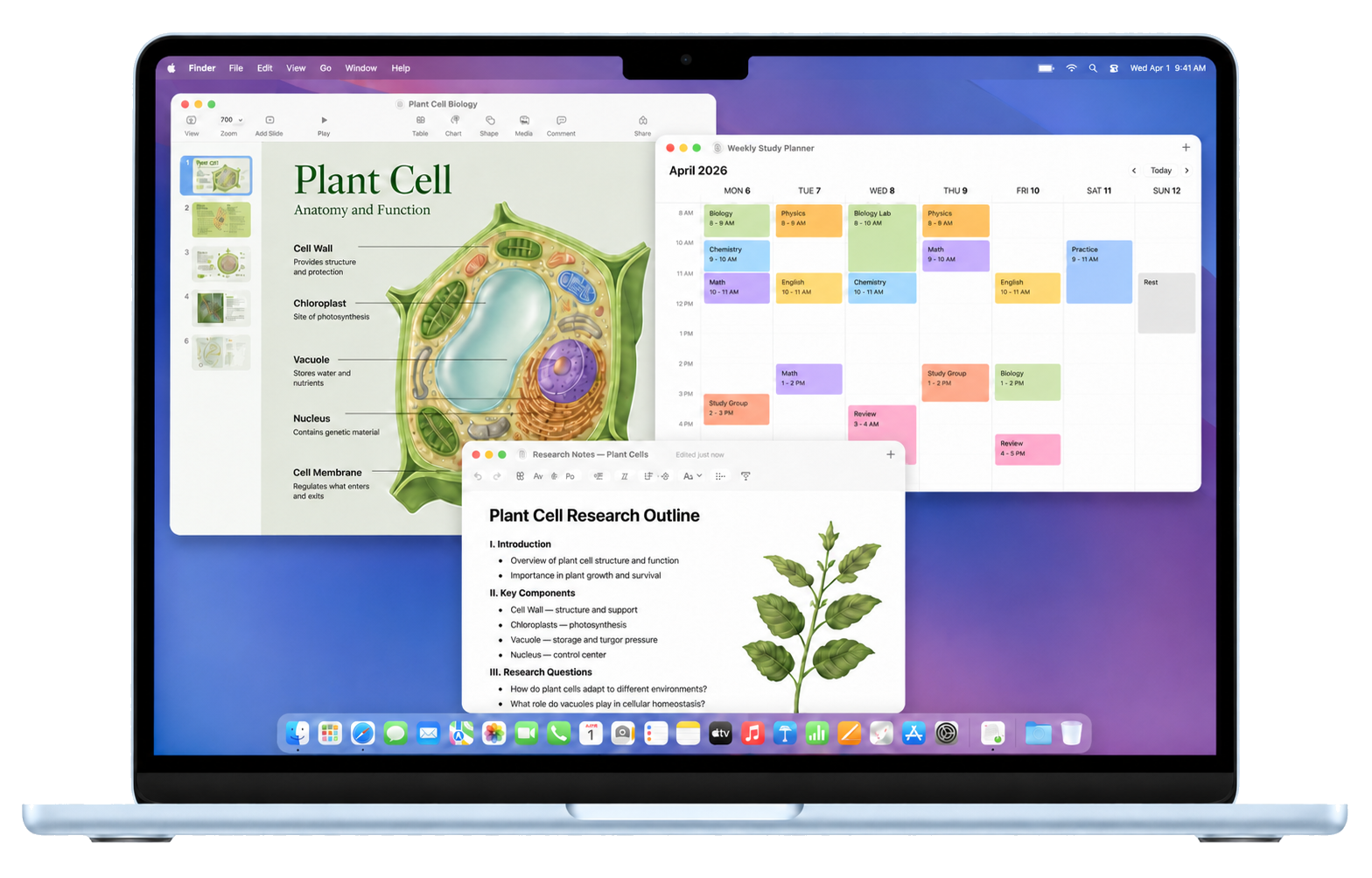 Błękitny MacBook Air z prezentacją o komórce roślinnej, planem nauki i notatkami w macOS